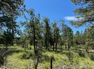 2936 Sandia Cir, Happy Jack, AZ 86024