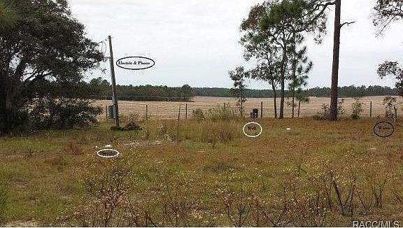 2nd image of 23751 NW Falcon Ave