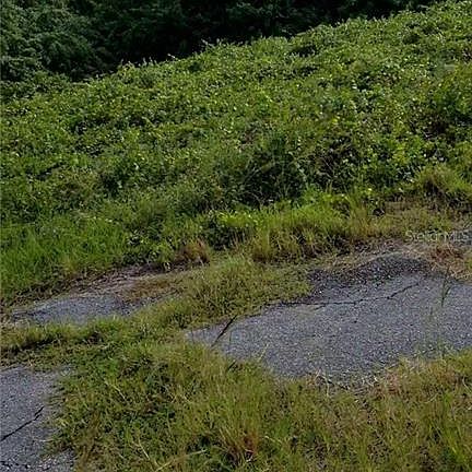 4th image of Hayward Ave