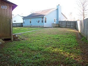 The backyard is huge!