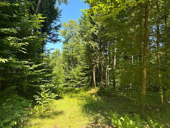 4th image of 15 Carleton Pond Rd #15