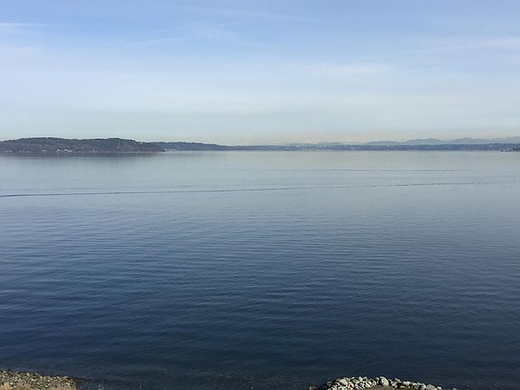 View from living room / dining room and deck.