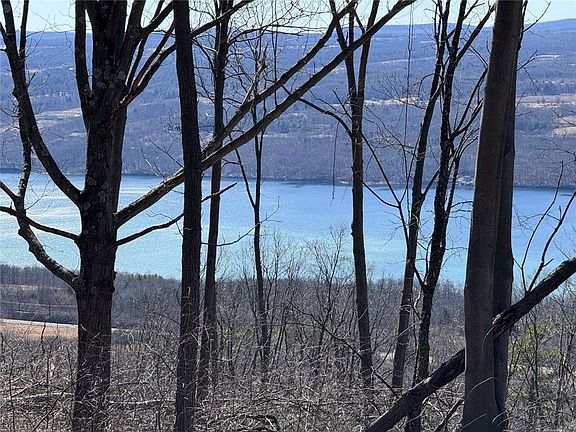 5th image of 0 Satterly Hill Rd #8