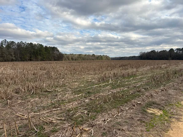 0 Highway 80 W, Tyler, AL 36785