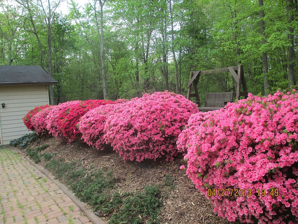 2nd image of 10075 Fox Hound Dr