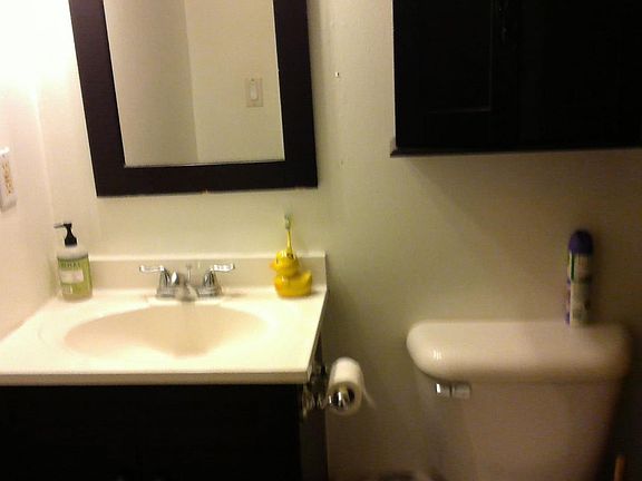 4th image of 192 Coy Dr APT 3