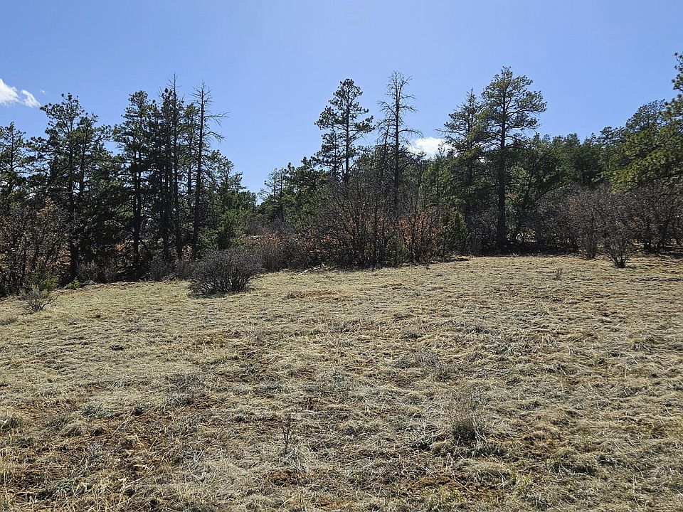 1st image of 336 Rancho La Garita Filing #10