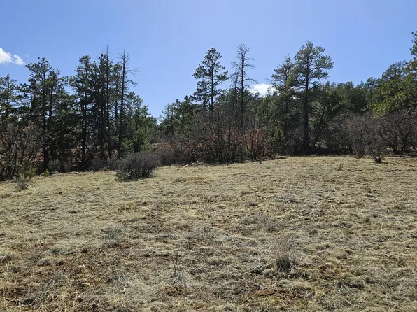 336 Rancho La Garita Filing #10, Weston, CO 81091