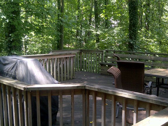 Deck and Wooded Backyard