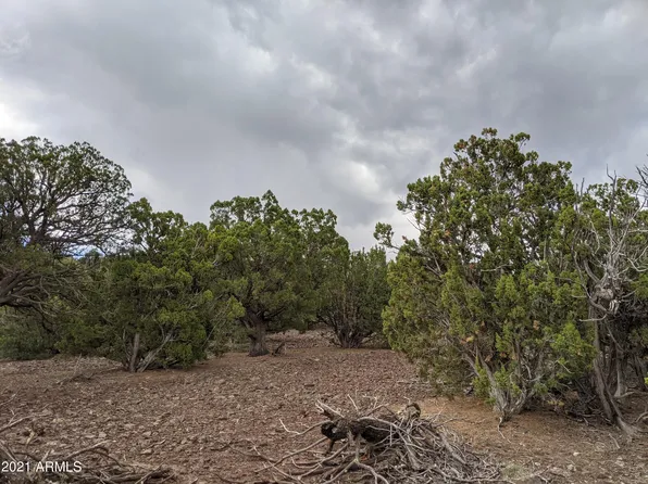 lot 79 Ranch Road #79, Vernon, AZ 85940