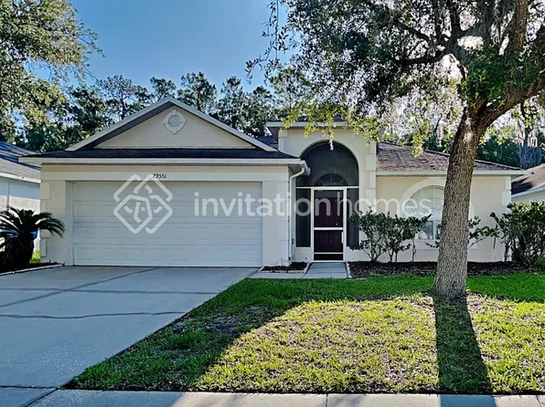 29551 Birds Eye Dr, Wesley Chapel, FL 33543