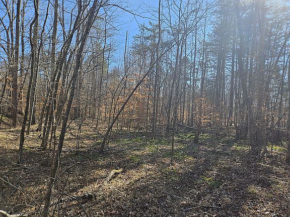 3rd image of 0 N State Highway 119 Hwy Lot 0
