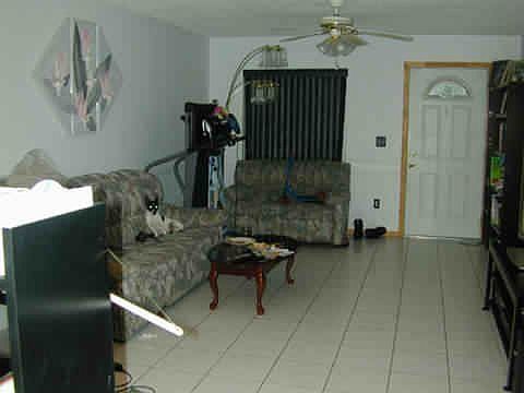 living room-tile floor