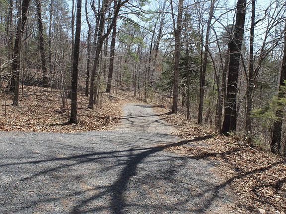 2nd image of 744 Spring Creek Rd