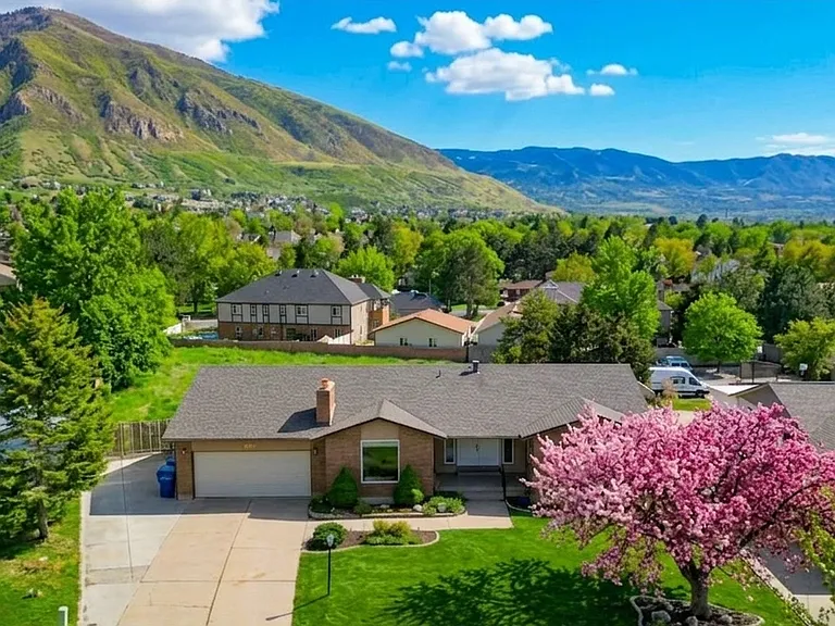 The house in springtime