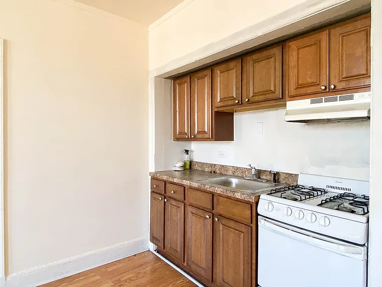 3335 W Diversey Ave #913 — Photo 4