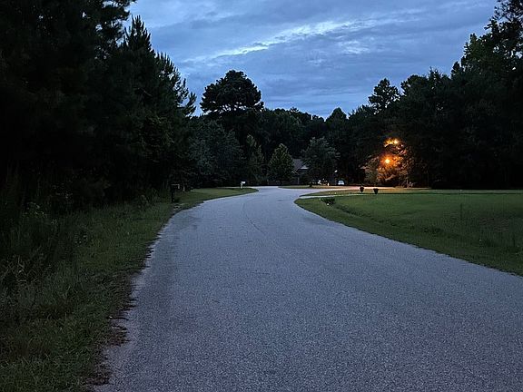 5th image of 225 E Emerald Lake Dr