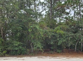 0 Canada Goose Rd, Brooksville, FL 34614