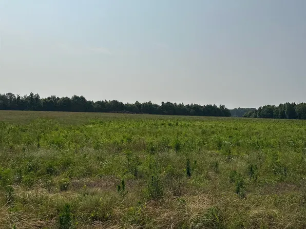 TRACT 23 Hays Mill Rd, Elkmont, AL 35620