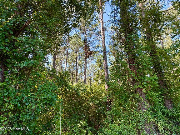 3rd image of 0 Cedar Fork Road