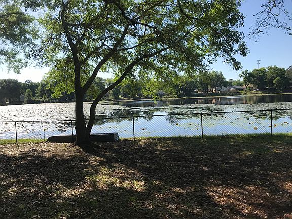 Pond