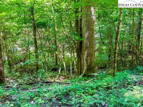 1.34+/- Doublehead Mountain Road, Newland, NC 28657