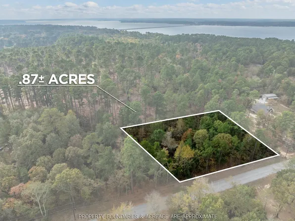 0 Pintail Dr Lot 11, Flint, TX 75762