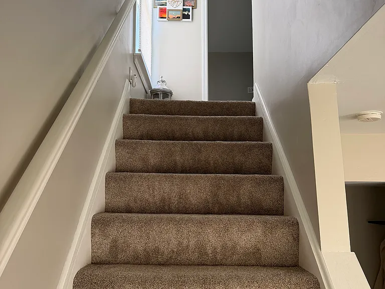 804 Forest Ave — Photo 14
