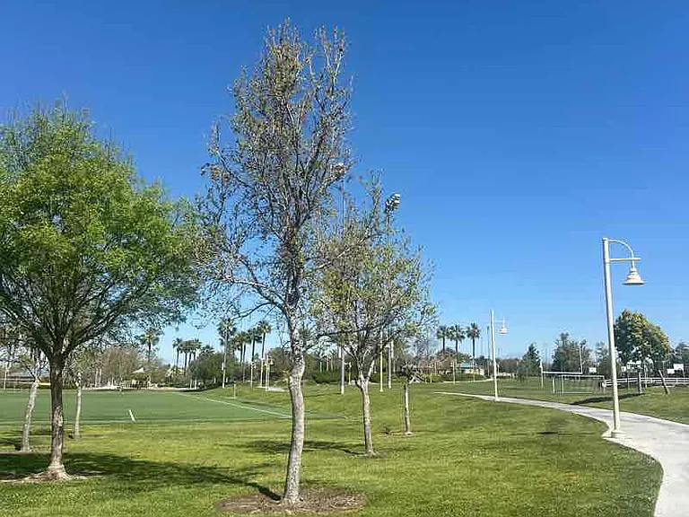 Birdsall Sports Park and walking paths within walking distance from house