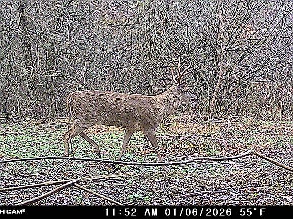 2nd image of 96 Triple J Dr