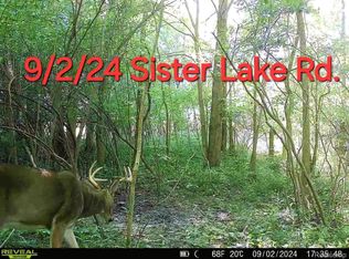 Sister Lake Rd, Columbiaville, MI 48421