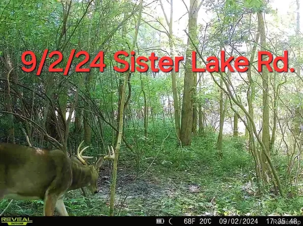 Sister Lake Rd, Columbiaville, MI 48421