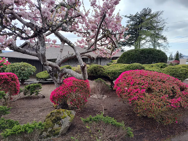 Street View with professionally manicured landscape on a regular basis