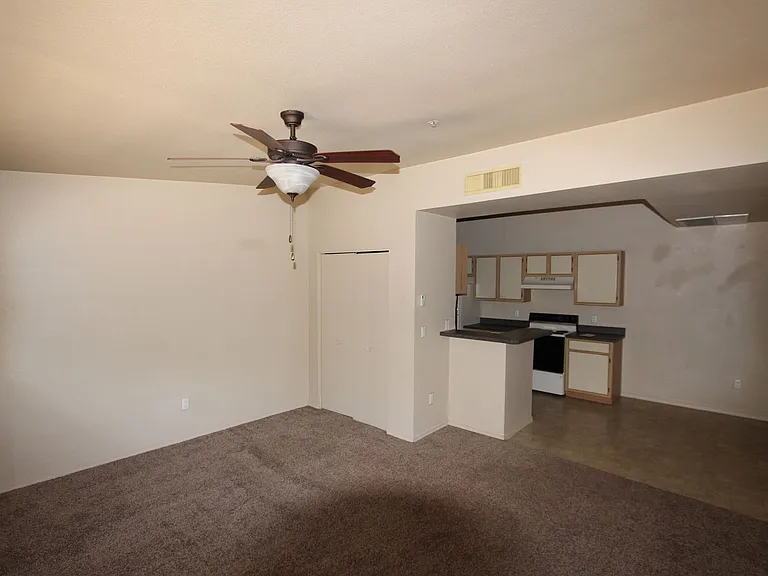 1185 W University Ave #19-259 — Photo 7