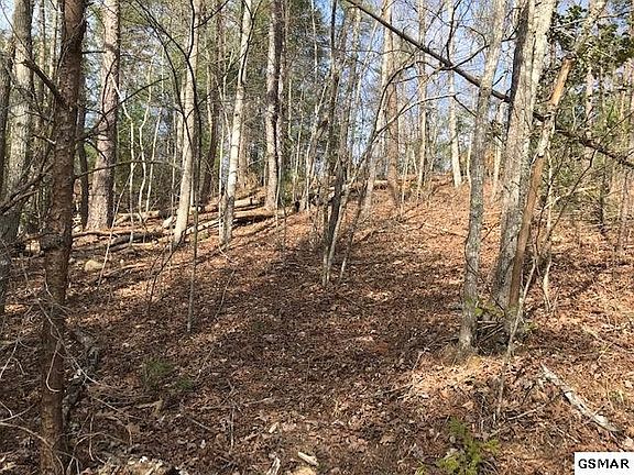 4th image of 10 Reed Ridge Rd #10