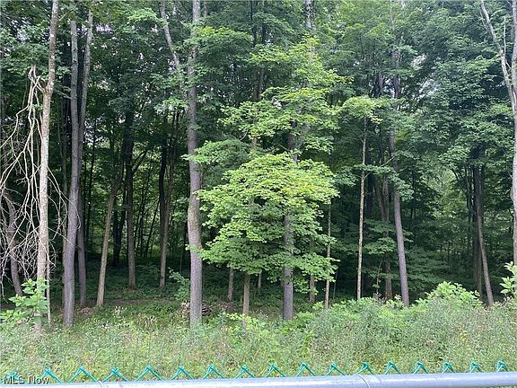 3rd image of 1195 Township Road 2156