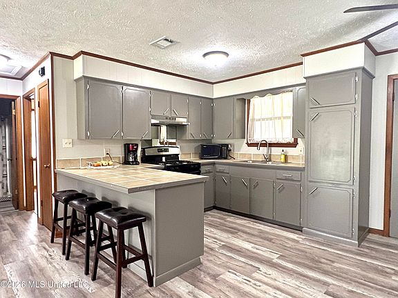 2nd image of 486 Ella McGehee Rd