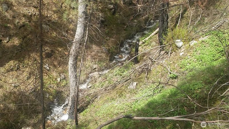 3rd image of 0 TBD N Fork Salmon Creek Road