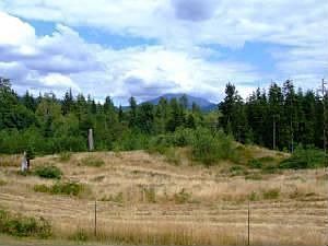 28 acres with great mountain views