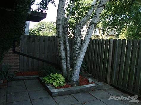 3rd image of 3021 Bolgos Cir