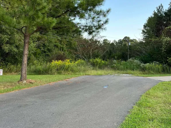 Lots 19 20 Cotton Cir #19 & 20, Vincent, AL 35178