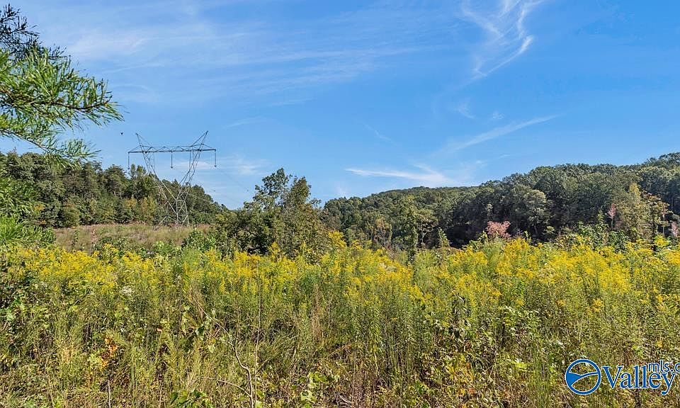 1st image of 3939 County Road 284