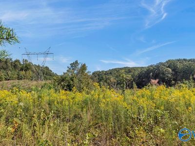 3939 County Road 284, Courtland, AL, 35618