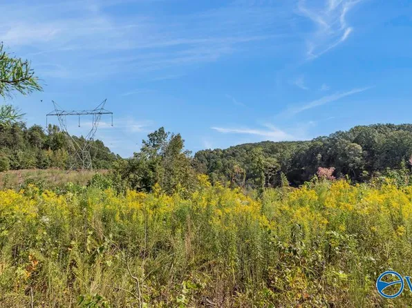 3939 County Road 284, Courtland, AL 35618