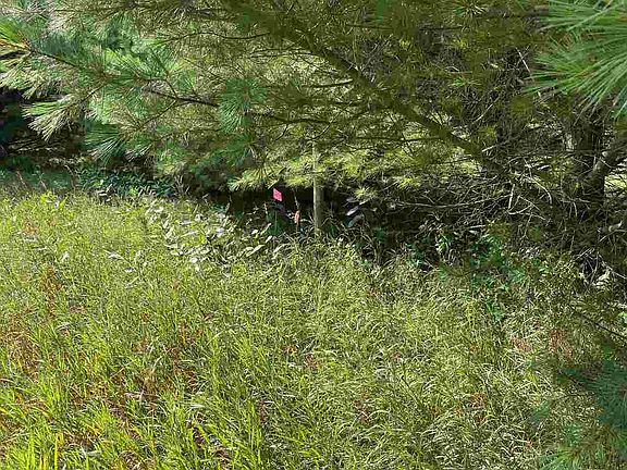 5th image of LOT 35 Fern Ln
