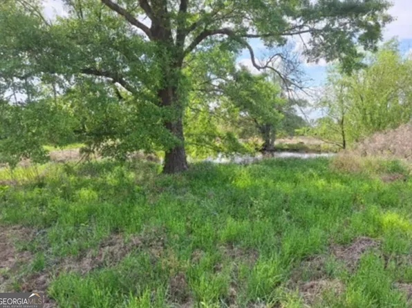 0 W Old Savannah Rd Tract 2, Millen, GA 30442