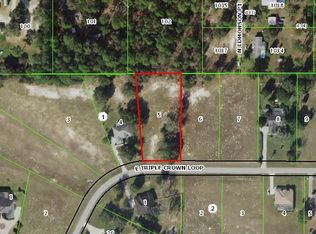 1027 E Triple Crown Loop, Hernando, FL 34442