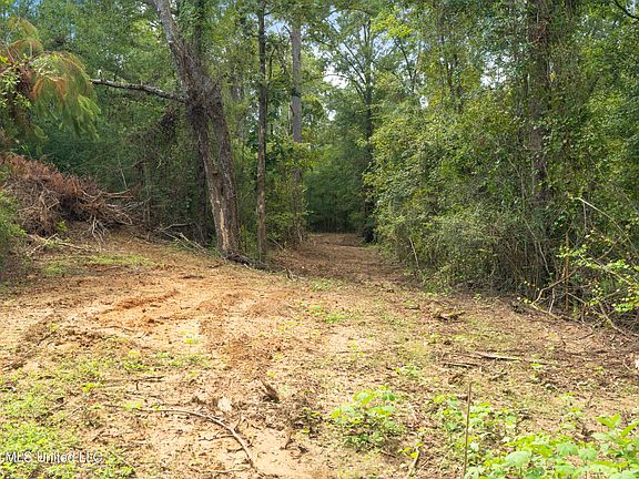 4th image of 2705 Pilgrim Rest Rd