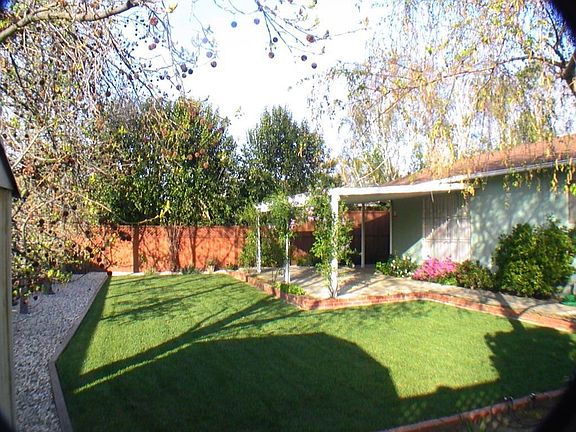 Mature EASY-CARE Yard