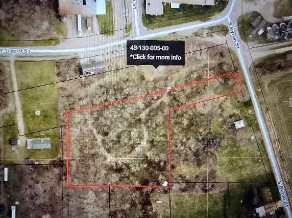 S Byron St, Homer, MI 49245